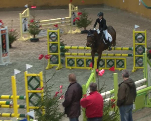 Reitturnier Leck 2015