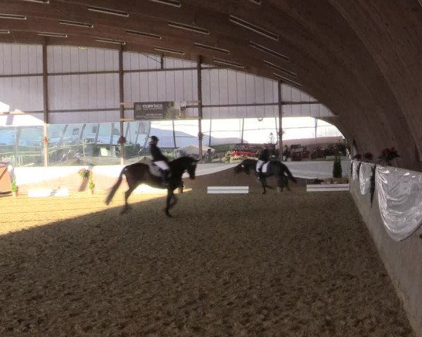 Reitturnier Essen-Stadtwald 2015