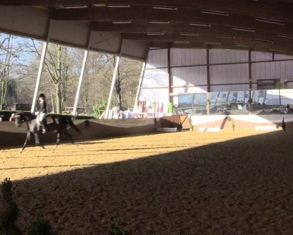 Reitturnier Essen-Stadtwald 2015