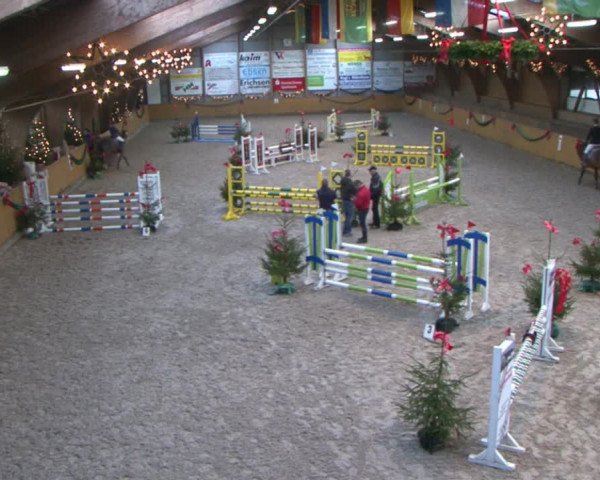 Reitturnier Leck 2015