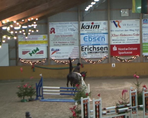 Reitturnier Leck 2015