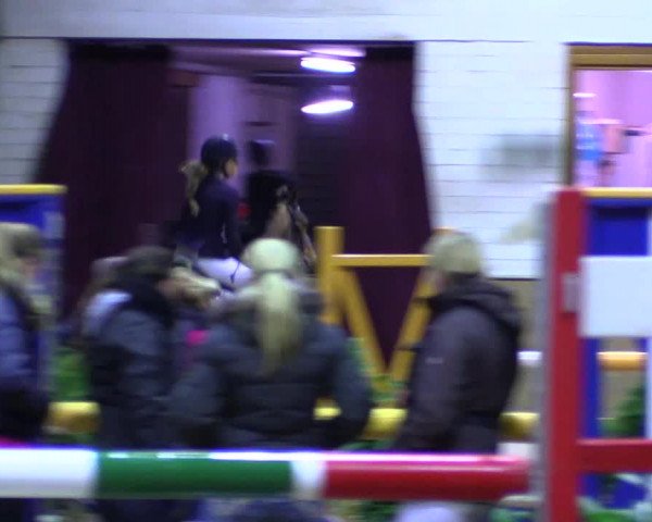 Reitturnier Appelhülsen 2015