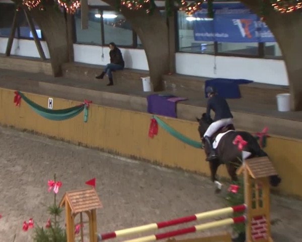Reitturnier Leck 2015