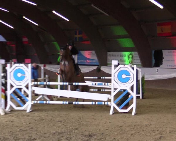 Reitturnier Essen-Stadtwald 2015
