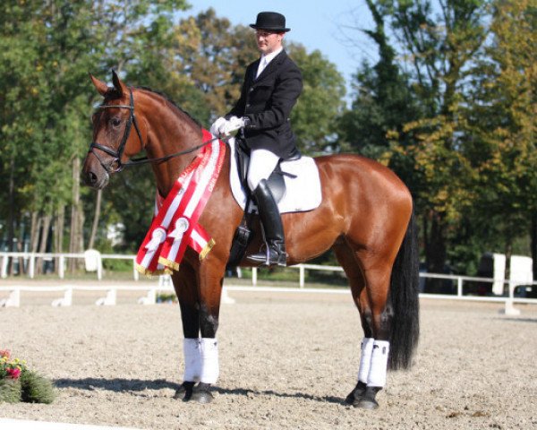 broodmare Bozena MBH (Austrian Warmblood, 2005, from Fit for Fun)