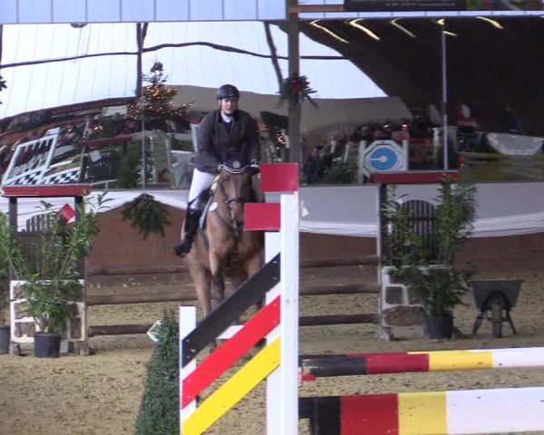 Reitturnier Essen-Stadtwald 2015