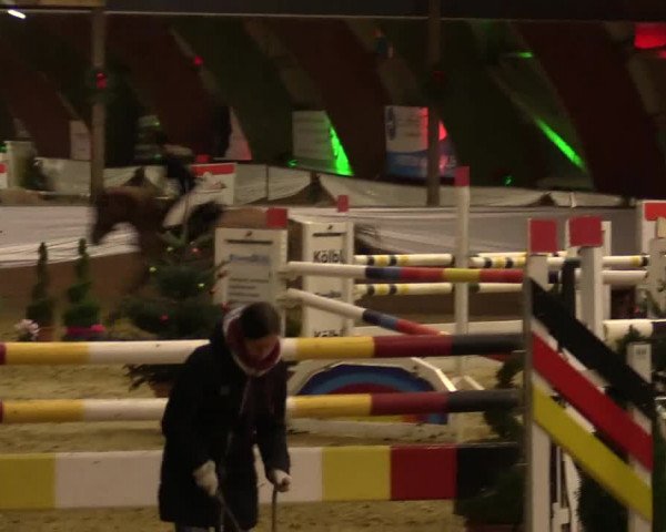 Reitturnier Essen-Stadtwald 2015