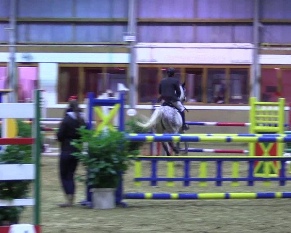 Reitturnier Appelhülsen 2015