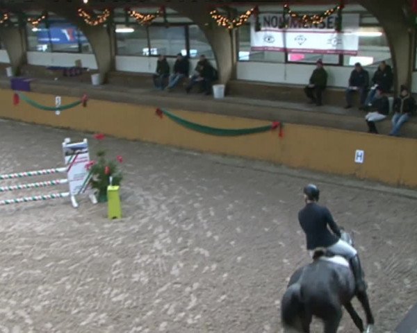 Reitturnier Leck 2015
