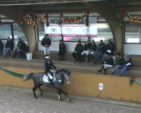 Reitturnier Leck 2015