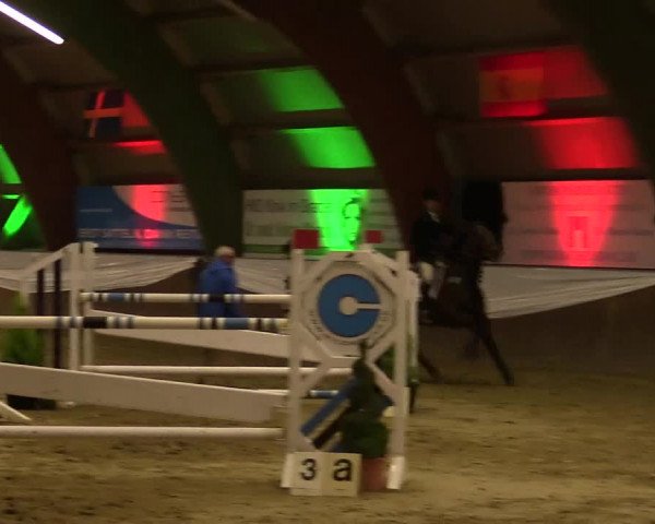 Reitturnier Essen-Stadtwald 2015