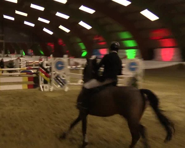 Reitturnier Essen-Stadtwald 2015