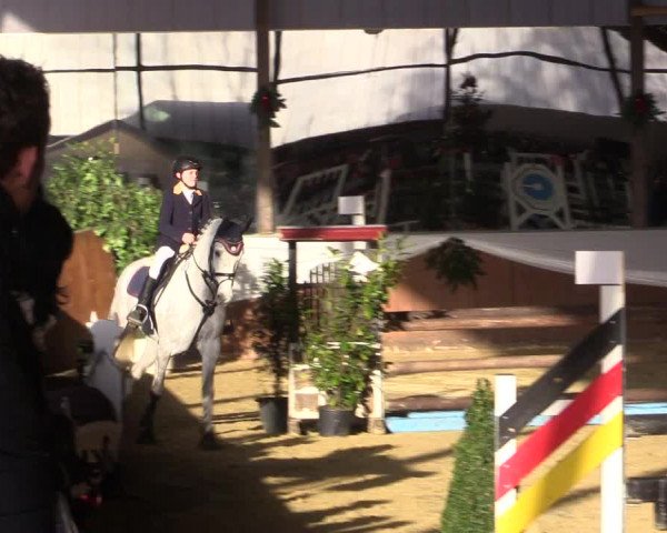 Reitturnier Essen-Stadtwald 2015