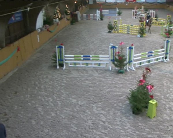 Reitturnier Leck 2015