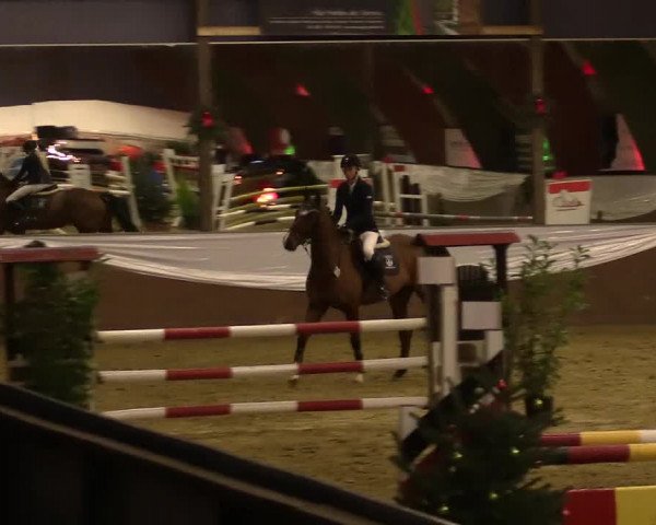 Reitturnier Essen-Stadtwald 2015