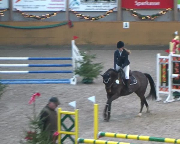 Reitturnier Leck 2015