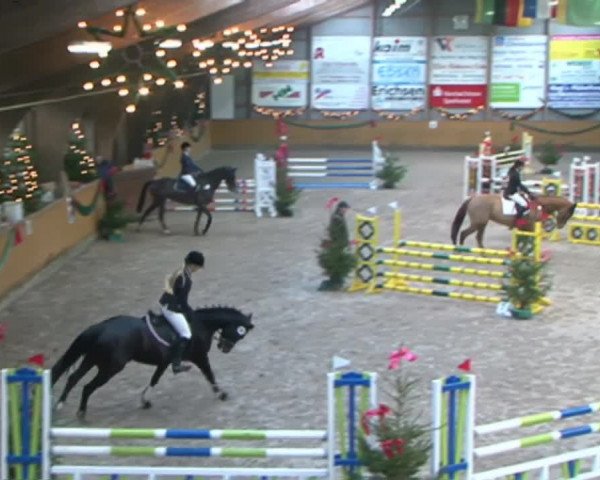Reitturnier Leck 2015