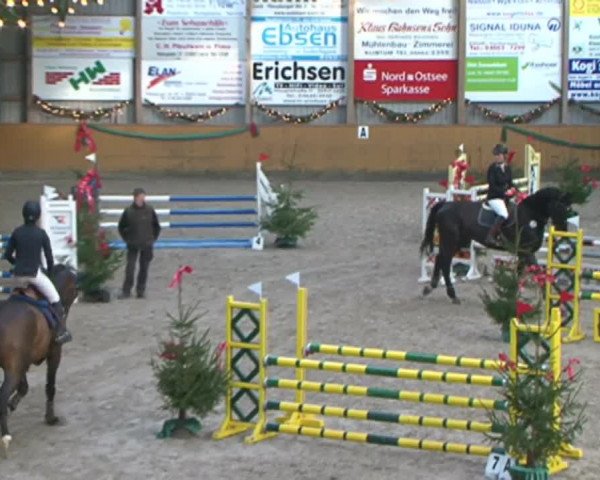 Reitturnier Leck 2015