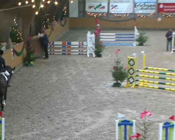 Reitturnier Leck 2015