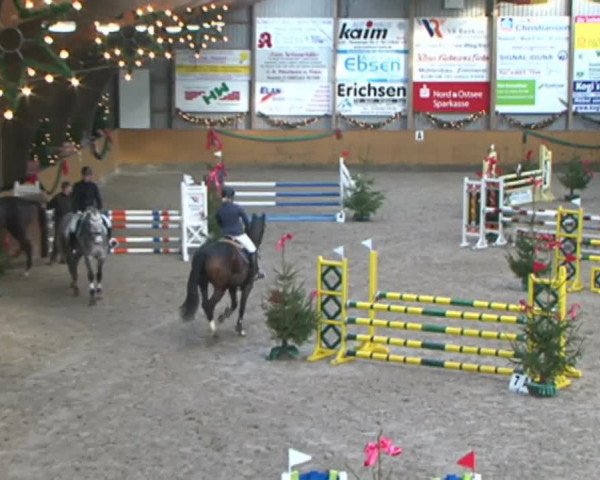 Reitturnier Leck 2015