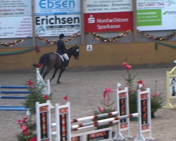 Reitturnier Leck 2015