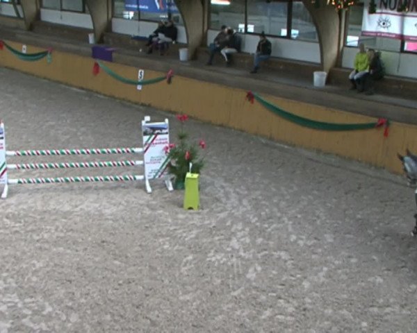 Reitturnier Leck 2015