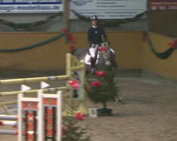 Reitturnier Leck 2015