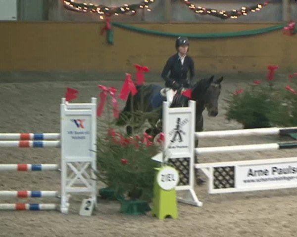 Reitturnier Leck 2015