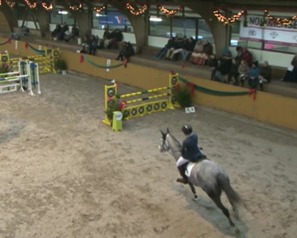 Reitturnier Leck 2015