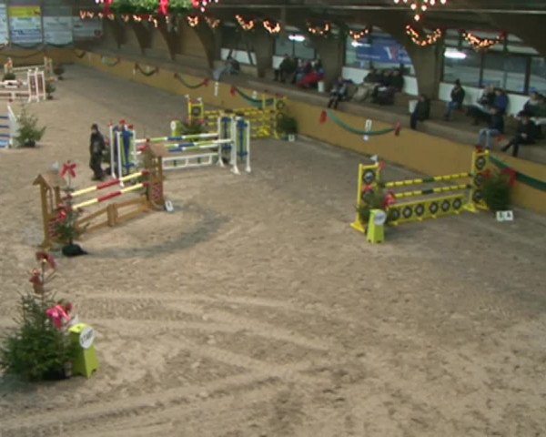 Reitturnier Leck 2015