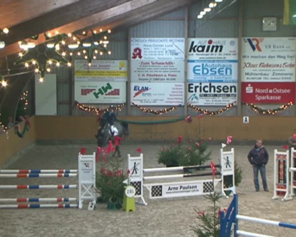 Reitturnier Leck 2015