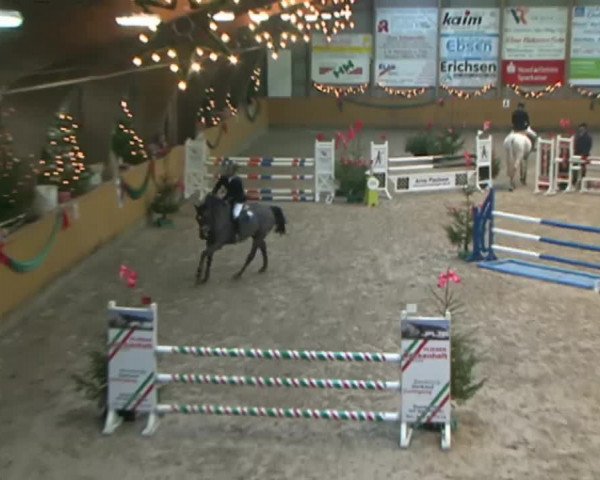 Reitturnier Leck 2015