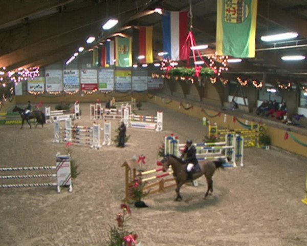 Reitturnier Leck 2015