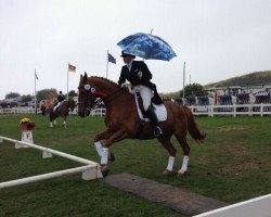 dressage horse Leonardo wie Caprio (Westphalian, 1999, from Laurentianer)