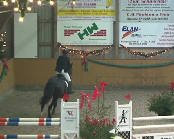 Reitturnier Leck 2015
