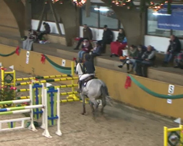 Reitturnier Leck 2015