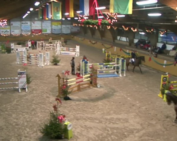 Reitturnier Leck 2015