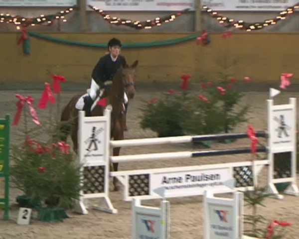 Reitturnier Leck 2015