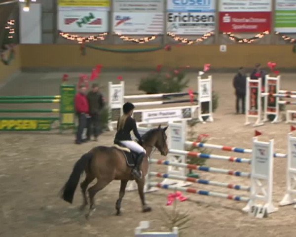 Reitturnier Leck 2015