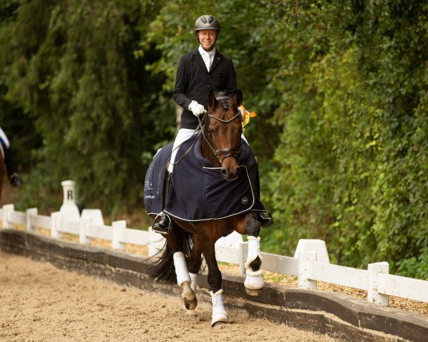 dressage horse Dancing in the Moonlight 2 (Westphalian, 2015, from Don Nobless)