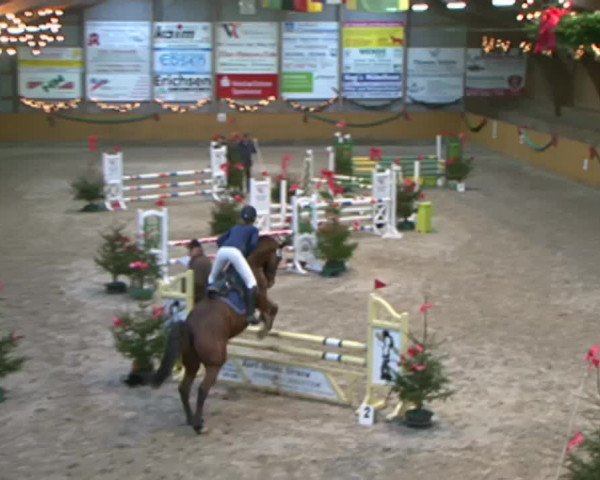 Reitturnier Leck 2015