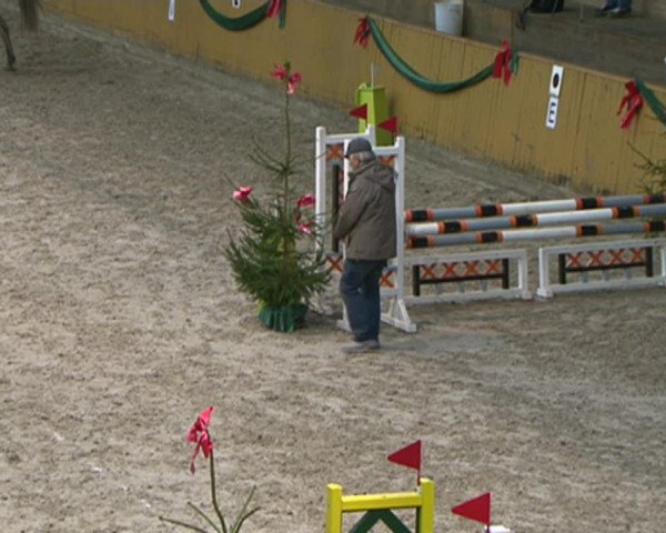 Reitturnier Leck 2015
