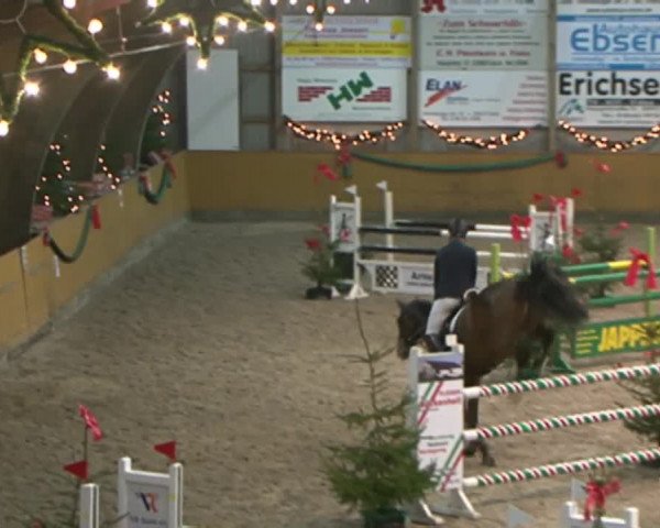 Reitturnier Leck 2015