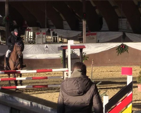 Reitturnier Essen-Stadtwald 2015