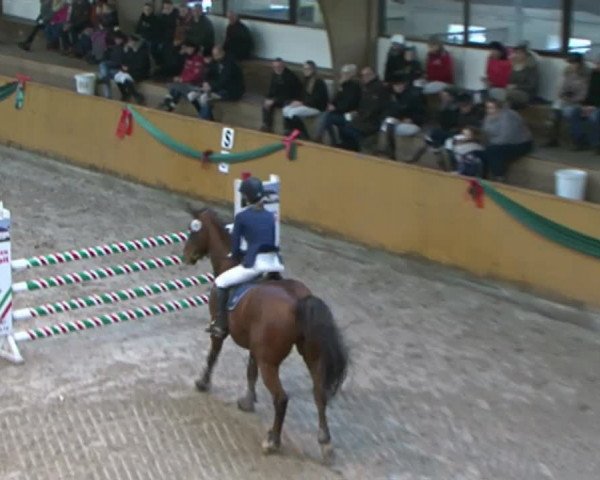 Reitturnier Leck 2015