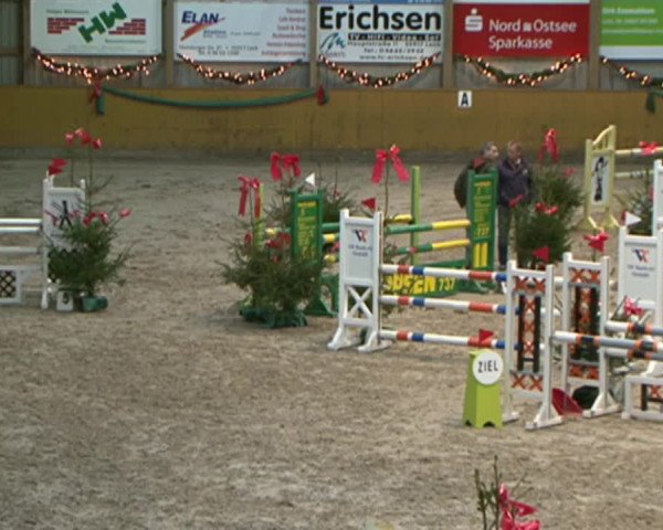 Reitturnier Leck 2015