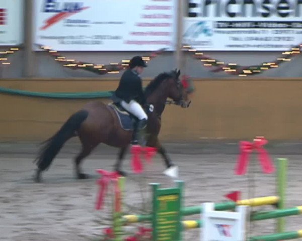 Reitturnier Leck 2015