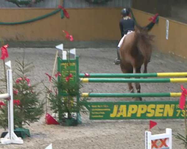 Reitturnier Leck 2015