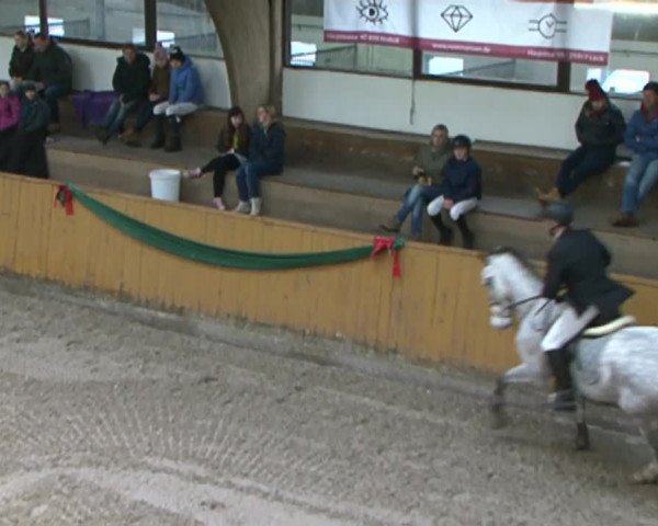 Reitturnier Leck 2015