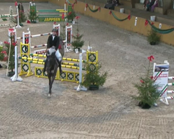 Reitturnier Leck 2015